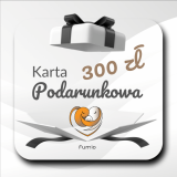 300.png