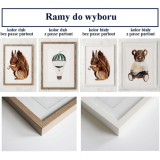 ramy.png