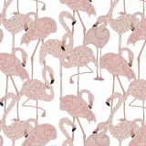 tapeta-flamingos.png