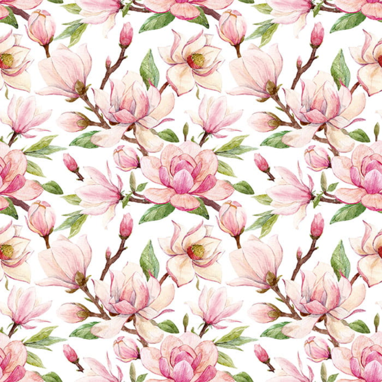tapeta-magnolie-pudrowe.png