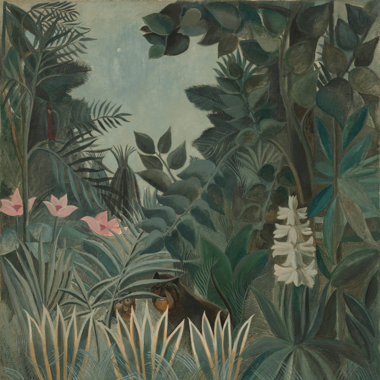 tapeta-jungle-do-pokoju-chlopca.png