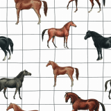 tapeta-konie-w-krate.png