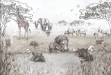 tapeta_savanna.jpg