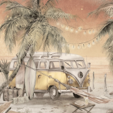 tapeta_surf_camp.png
