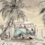 tapeta_surf_camp_neutral.png