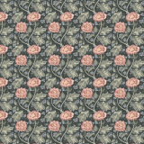 tapeta-piwonie-ciemne-tlo.png