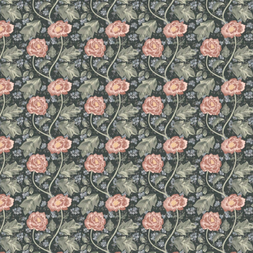 tapeta-piwonie-ciemne-tlo.png