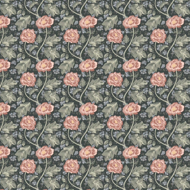 tapeta-piwonie-ciemne-tlo.png