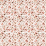 tapeta_ogrod_wspomnien.png