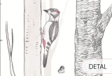 d5.webp