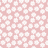 tapeta-proste-kwiaty-roz.png