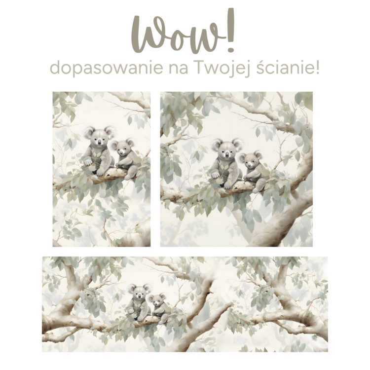 tapeta_koale.png