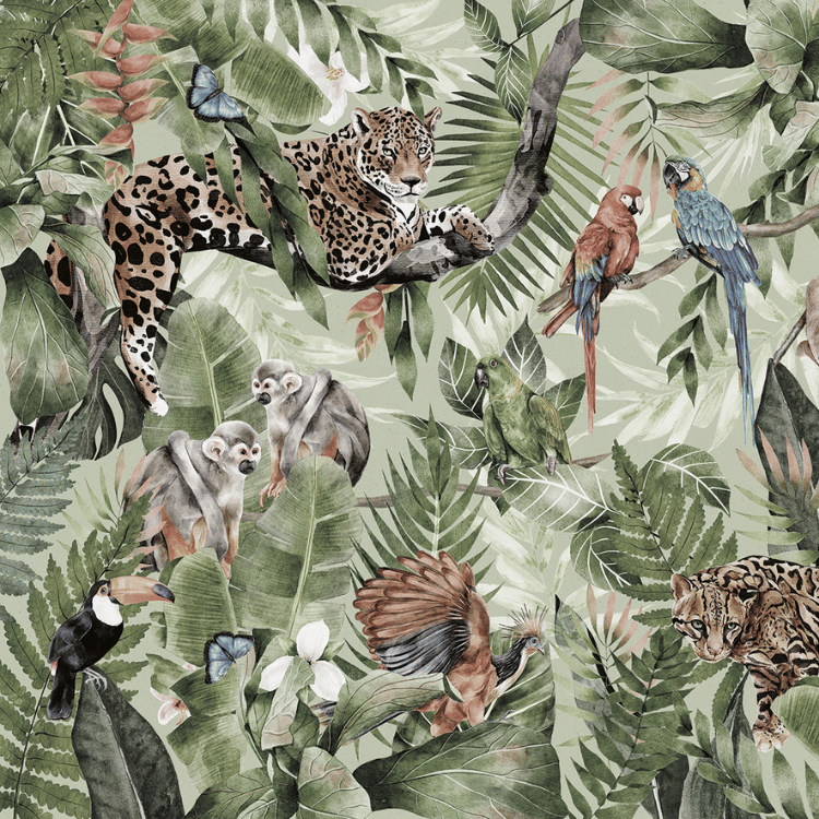 tapeta_amazonia_sklep.png