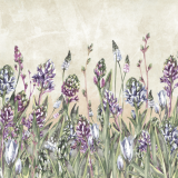 tapeta_garden.png