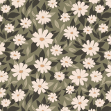 tapeta-kwiatki-daisy.png