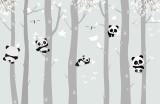 tapeta_pandy.jpg