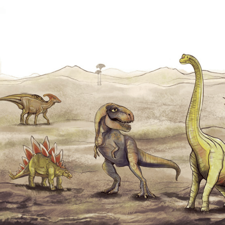 tapeta_dinozaury_sklep.png