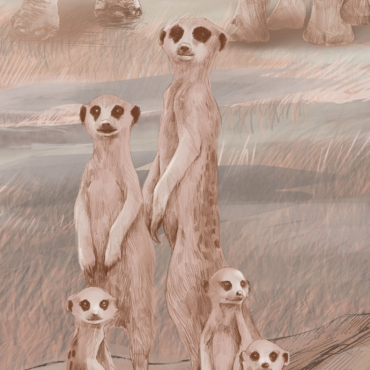tapeta_dziecieca.png