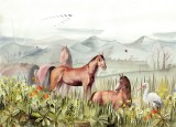 tapeta-rancho.jpg