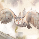 sowa.png