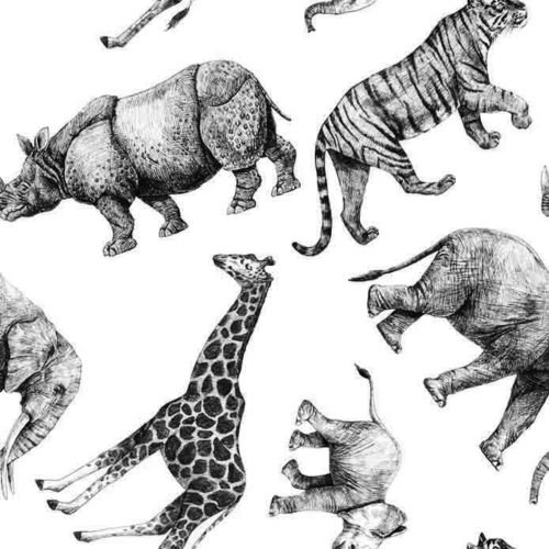 tapeta-czarno-biale-safari.png