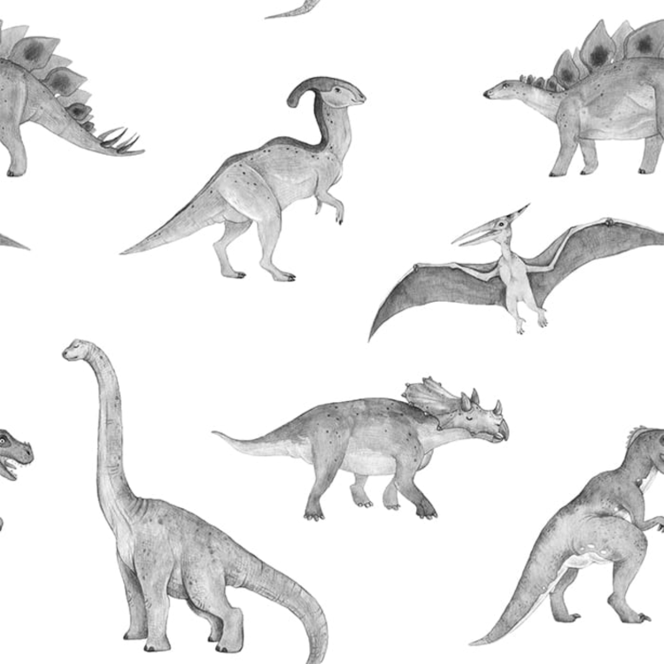 tapeta-dinozaury.png