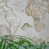 tapeta_pokoj_dziecka_mapa (11).png