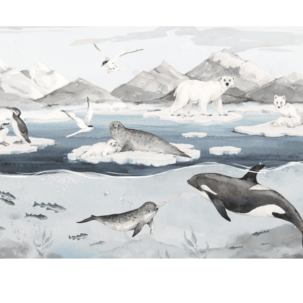 tapeta_sielanka_lesne_zwierzeta (8).png