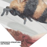 tapeta-kwiaty-do-pokoju-dziecka.jpg