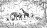 tapeta-safari.jpg