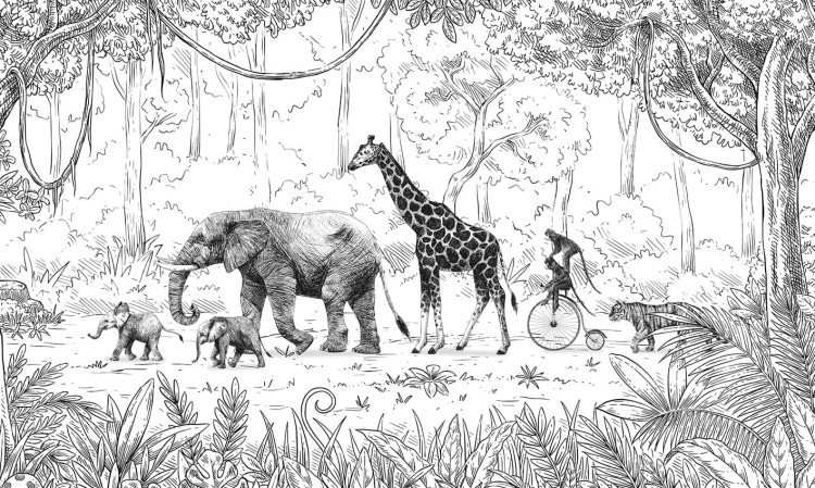 tapeta-safari.jpg