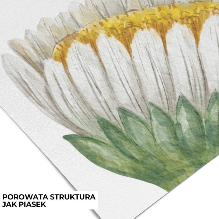 tapeta-stokrotki--tapety-dla-dzieci-na-flizelinie.jpg