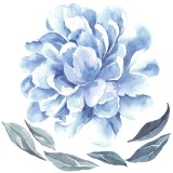 piwonia-niebieska--naklejka.-naklejka-dla-dzieci.-dekoracje-pokoju.jpg