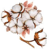 bawelna-duza--naklejka.-naklejka-dla-dzieci.-dekoracje-pokoju.jpg