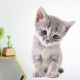 kotek-mruczek-naklejka-do-pokoju-chlopca.jpg