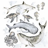 zestaw-naklejek-ocean-wonderland-do-pokoju-dziecka.webp