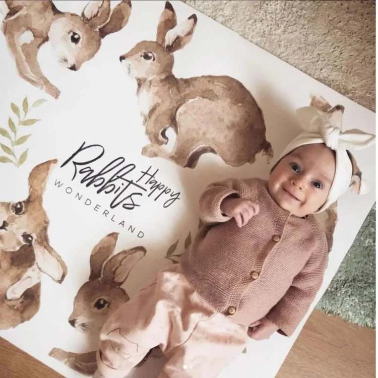 naklejki-kroliczki-na-sciane.webp