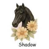 naklejki-kon-rozne-warianty-shadow.webp