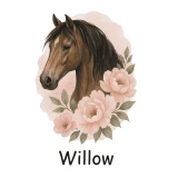 naklejki-kon-rozne-warianty-willow.webp