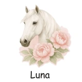 naklejki-kon-rozne-warianty-luna.webp