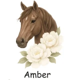 naklejki-kon-rozne-warianty-amber.webp