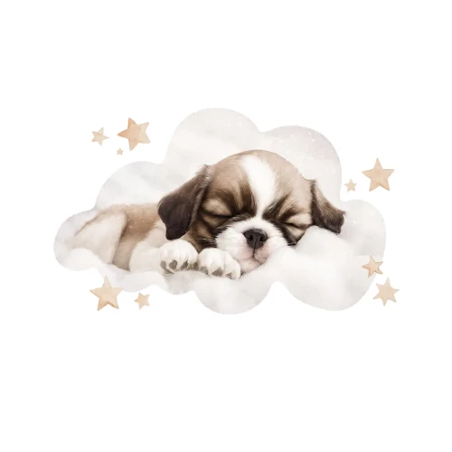 naklejka-na-sciane-puppies-dream-shitz-tzu.webp