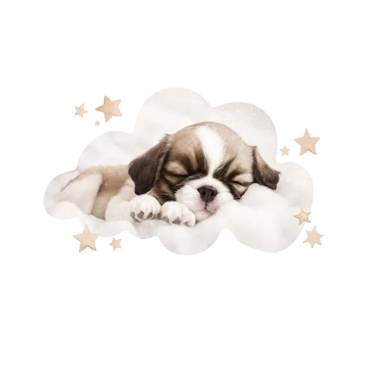 naklejka-na-sciane-puppies-dream-shitz-tzu.webp