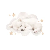 naklejka-na-sciane-samoyed.webp