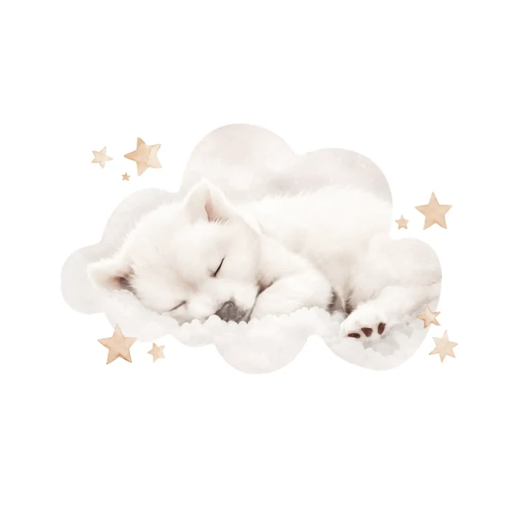 naklejka-na-sciane-samoyed.webp
