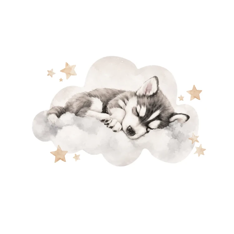 naklejka-na-sciane-husky.webp