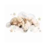 naklejka-na-sciane-dziecieca-golden-retriever.webp