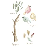 naklejka-nascienna-harmony-II-ptaki-kolorowe-wymiary.webp