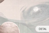 t3.webp