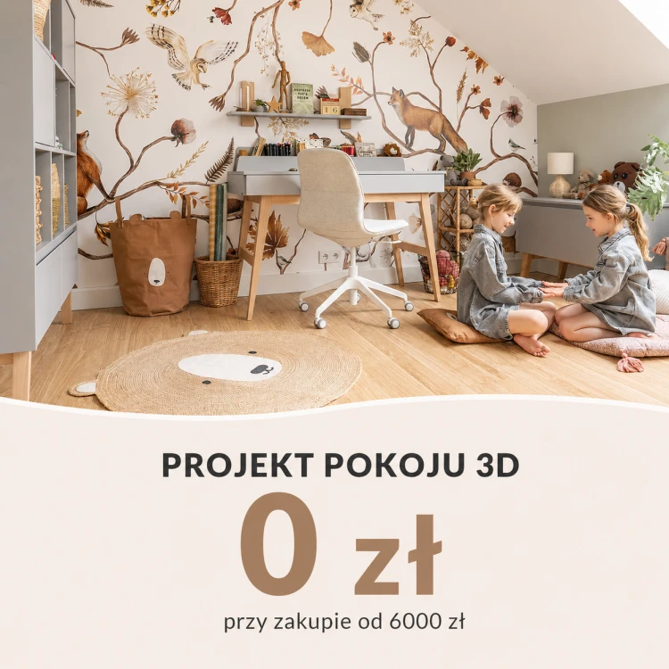 projekt_0.png